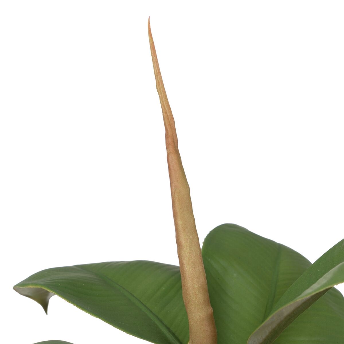 Decorative Plant Polyethylene Iron PEVA Oak 76 cm